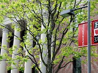 Harvard 哈佛大学9