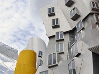MIT 麻省理工学院13