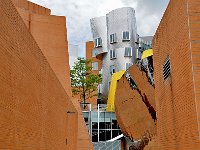 MIT 麻省理工学院19