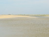 DSC 2782's