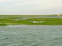 DSC 2885's