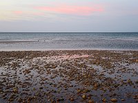 Cape Cod 鳕鱼角