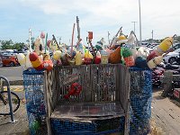 DSC 2974's