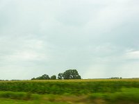DSC 6771's