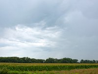 DSC 6777's