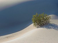 Death Valley 死亡谷国家公园1