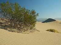 Death Valley 死亡谷国家公园14