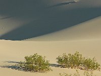Death Valley 死亡谷国家公园19