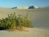 Death Valley 死亡谷国家公园25