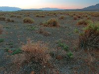 Death Valley 死亡谷国家公园27
