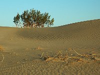 Death Valley 死亡谷国家公园32