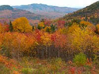 New Hampshire