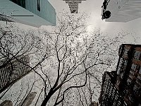 New York 纽约市38