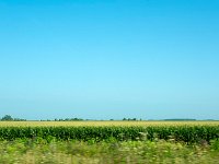 Views on Road 路景（2025）