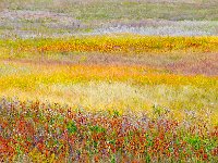 South Dakota 南达科他（2011）