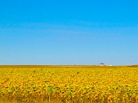 DSC 1576 2s