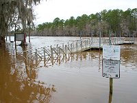 Caddo Lake State Park