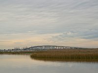 DSC 6000's