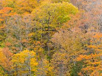 Green Mountain 绿山