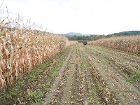 DSC 2504Ss