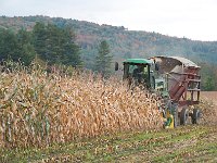 DSC 2508Ss