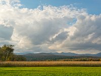 DSC 2763Ss
