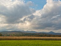 DSC 2765Ss