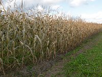 DSC 2772Ss