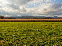 DSC 2788Ss