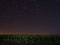 DSC 2863Ss