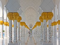 DSC 2744's
