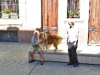 Montevideo 蒙得维的亚16